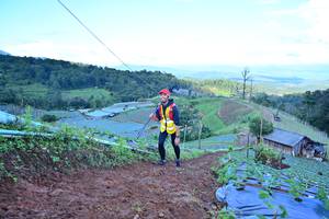 BIB: 
                            <button type="button" onclick="openModal(13384942)" class="btn btn-primary btn-sm float-right btn-popup" data-toggle="modal" data-target=".modal-high-quality">
                        <i class="fas fa-shopping-cart"></i> Add to Cart
                    </button>
                                            <button type="button" onclick="isThisMe(13384942, true)" class="btn btn-success btn-sm float-right btn-popup btn-isme hidden" data-toggle="tooltip" data-placement="bottom" title="นี่คือรูปของคุณใช่ไหม คลิกที่นี่เพื่อเอาเข้าอัลบั้ม">
                        <i class="fas fa-plus"></i> Add to album
                    </button>
                    <button type="button" onclick="isThisMe(13384942, false)" class="btn btn-warning btn-sm float-right btn-popup btn-isnotme hidden">
                        <i class="fas fa-ban"></i> Remove from album
                    </button>